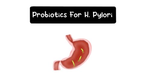 Can Probiotics Kill Helicobacter Pylori? - Probiotic Review Girl